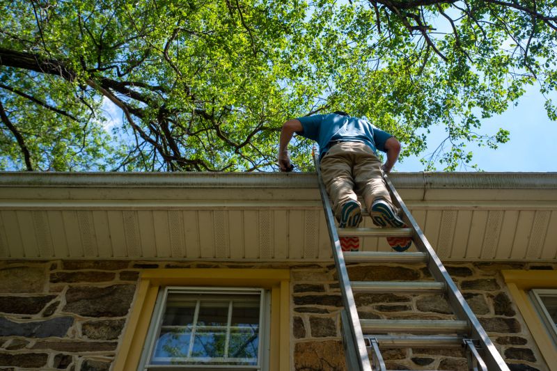 Climbing Ladders for Gutter Access