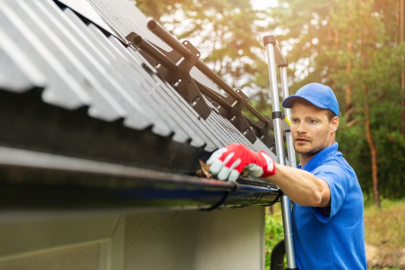 Gutter Cleaning Professionals